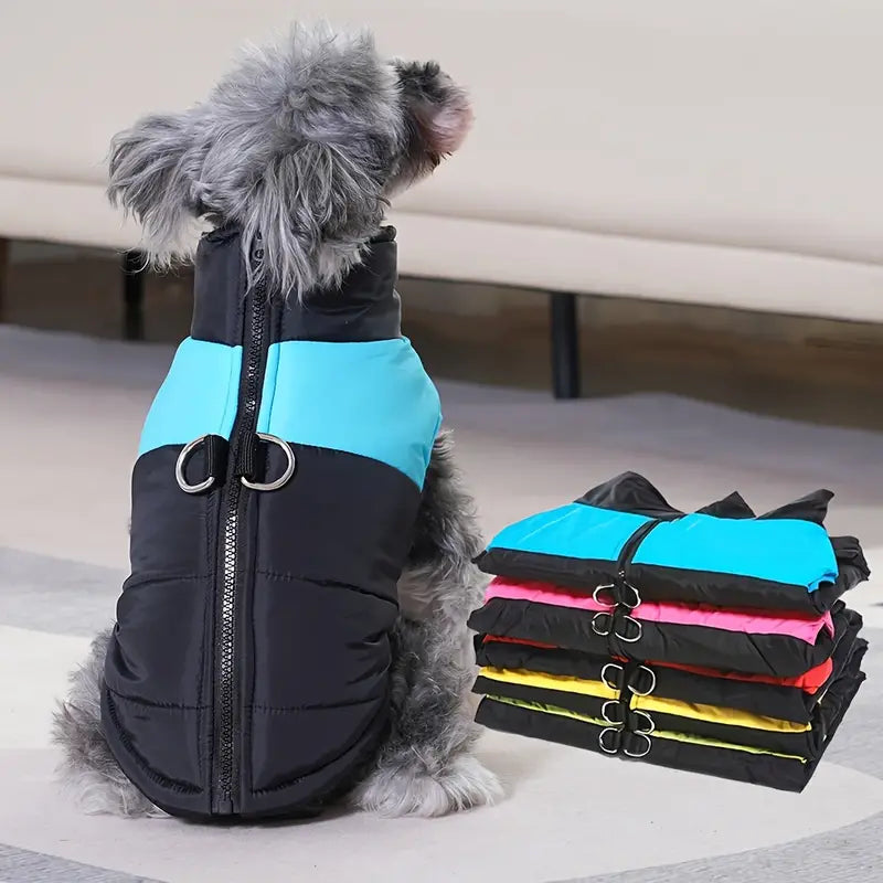 Hund in blau-schwarzer Winterjacke mit D-Ring, sitzt neben einem Stapel bunter Hundejacken. Perfekte Hundebekleidung für kalte Tage.