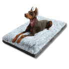 Dobermann auf grauem, flauschigem Hundebett, orthopädisch, bequem, Haustierbedarf.
