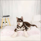 Braune Husky-Welpe auf grauer orthopädischer Hundematte aus Memory-Schaum, rutschfest.