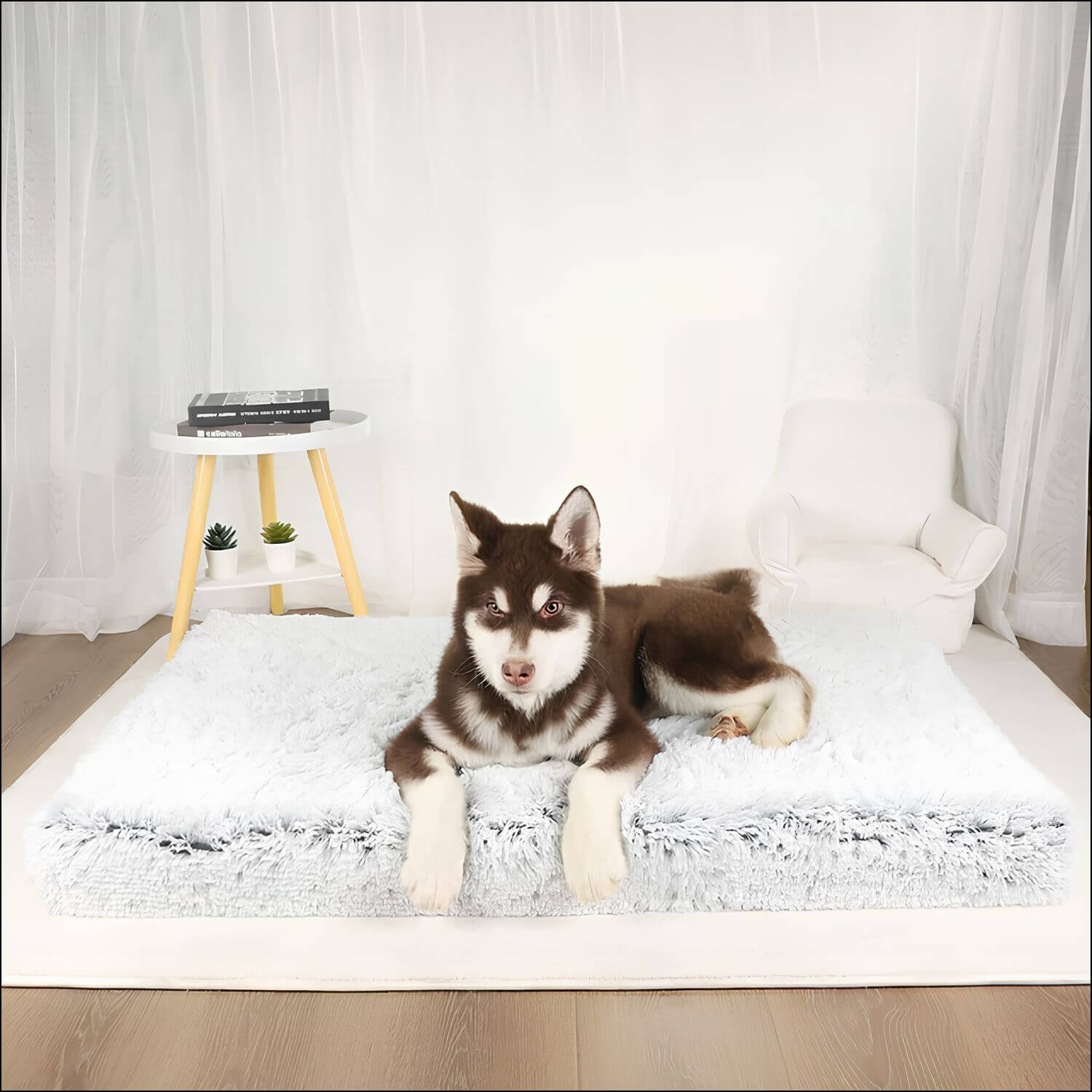 Braune Husky-Welpe auf grauer orthopädischer Hundematte aus Memory-Schaum, rutschfest.