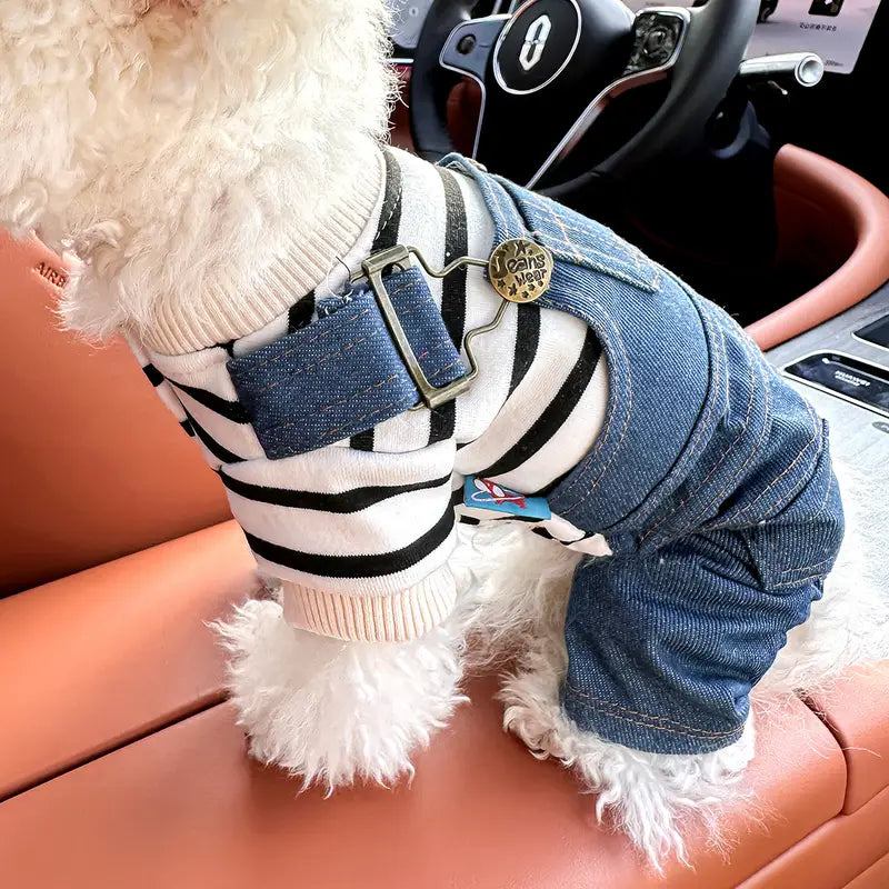 Weißer Hund in gestreiftem Pullover und Jeans-Overall auf Autositz. Modische Hundebekleidung, Haustiermode, stilvolle Hundekleidung.
