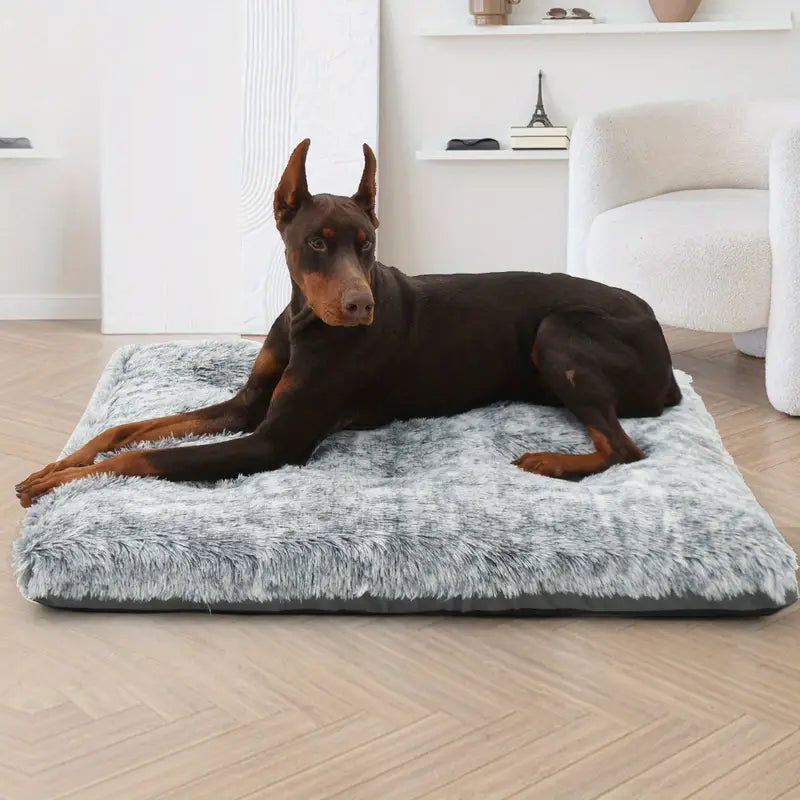 Dobermann auf grauem, flauschigem Hundebett im Wohnzimmer, modernes Design, bequem, stilvoll.