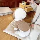 Kleiner Hund in flauschigem Pullover sitzt auf Kissen, neben Holztablett mit Getränk. Gemütliche, stilvolle Inneneinrichtung, Haustiermode.