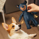 Hund spielt mit robustem Hundespielzeug in Bärenform. Perfekt für interaktives Spiel und Zahnpflege. Ideal für aktive Hunde und Welpen.
