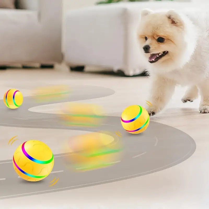 Pomeranian spielt mit gelbem interaktivem Hundeball, Wohnzimmer, Haustierspielzeug, Bewegung.