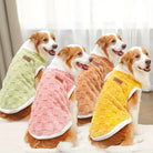 Vier Hunde in bunten, flauschigen Hundemänteln sitzen nebeneinander. Perfekt für kalte Tage, modische Hundebekleidung, warme Haustierjacken.