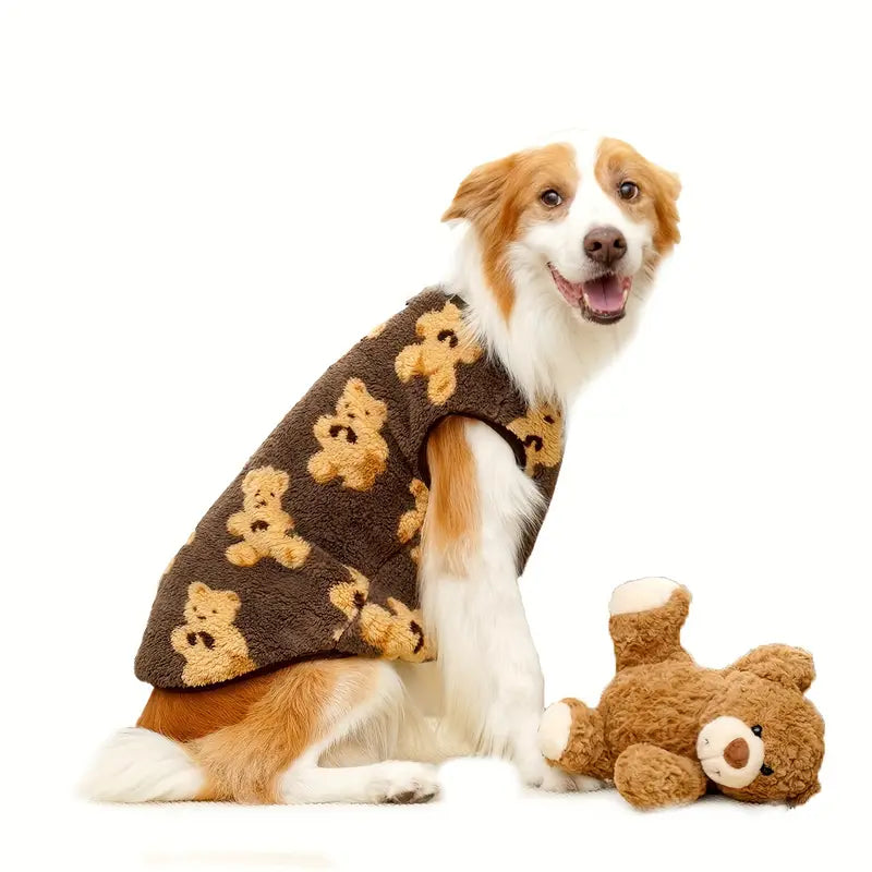 Hund in süßem Teddybär-Pullover mit passendem Plüschtier. Perfektes Haustier-Outfit, modische Hundebekleidung, niedliche Hundeaccessoires.