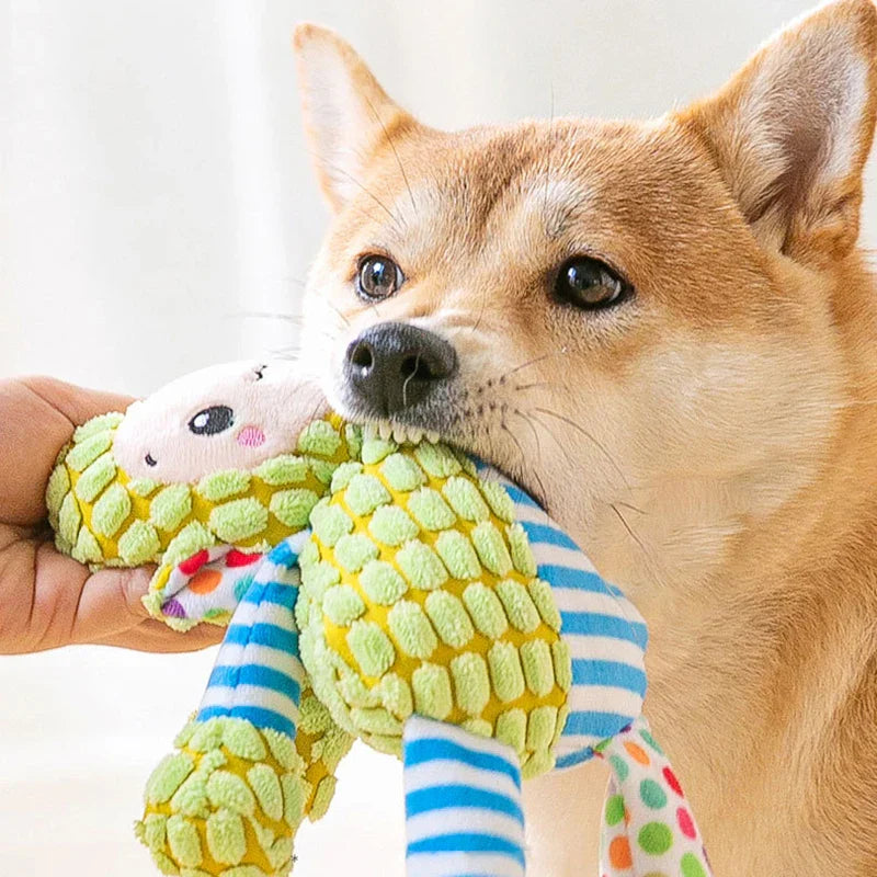 Hund spielt mit buntem Plüschspielzeug, Shiba Inu, interaktives Hundespielzeug, robustes Kauspielzeug, Haustierbedarf, Hundezubehör.