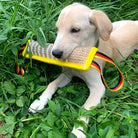 Welpe spielt im Gras mit einem robusten Beißkissen aus Jute, ideal für Hundetraining. Perfektes Spielzeug für Welpen, langlebig und sicher.