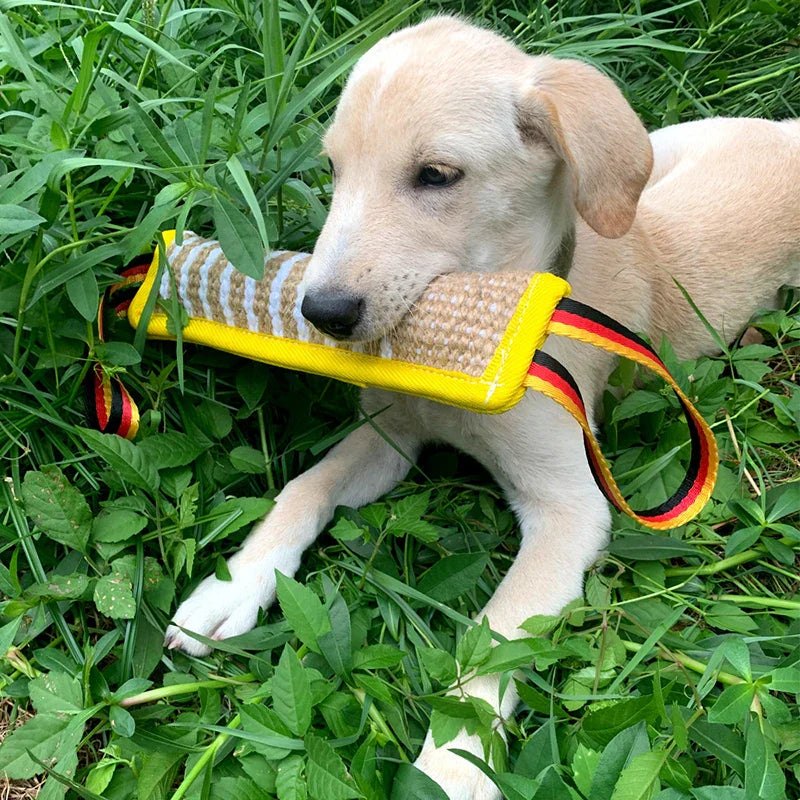 Welpe spielt im Gras mit einem robusten Beißkissen aus Jute, ideal für Hundetraining. Perfektes Spielzeug für Welpen, langlebig und sicher.