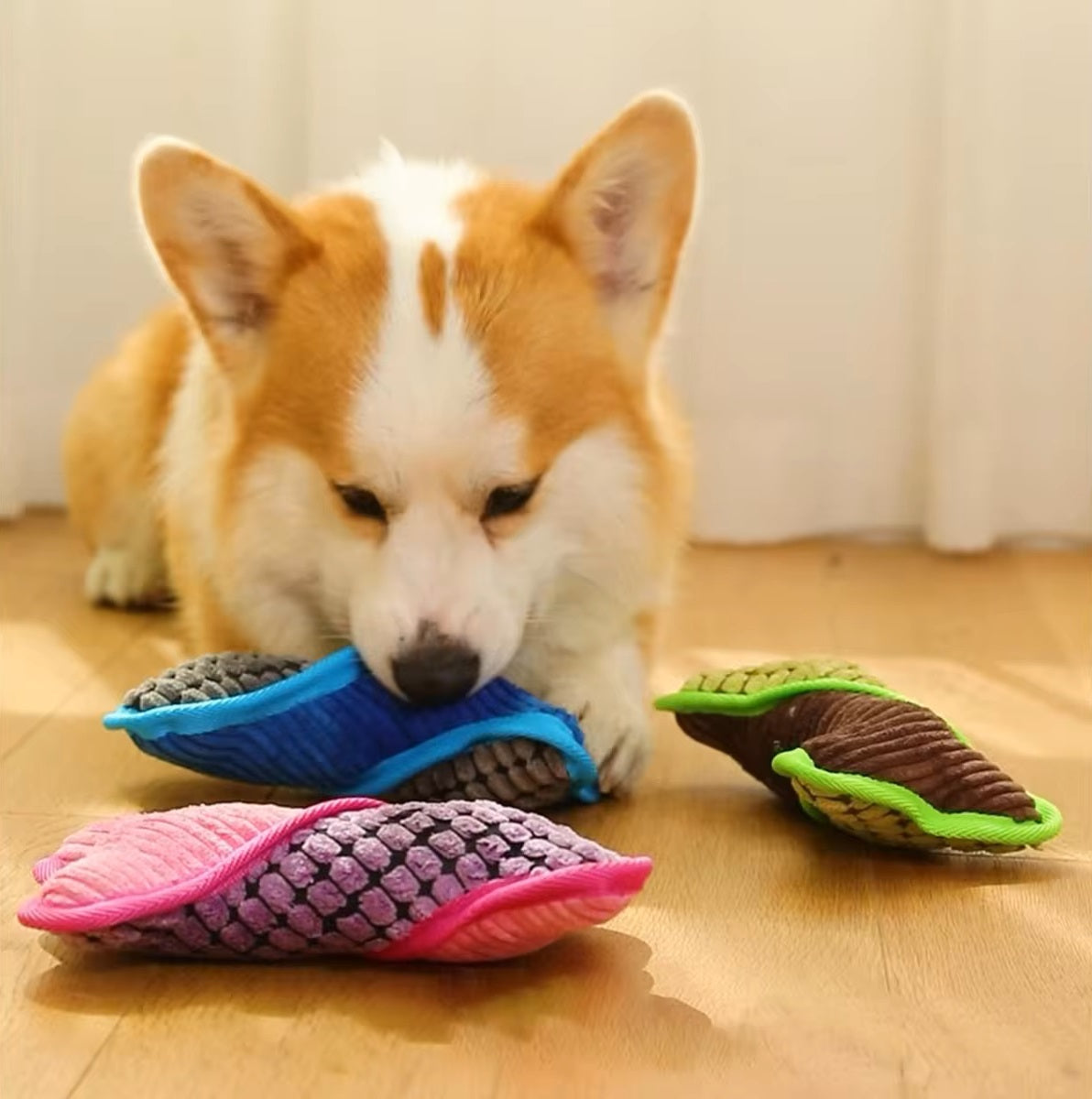 Corgi-Welpe spielt mit buntem Hundespielzeug auf Holzboden. Perfektes Haustierfoto, das niedliche Hunde und interaktives Spielzeug zeigt.