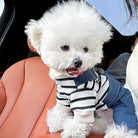 Weißer Pudelwelpe in gestreiftem Pullover und Jeans sitzt auf einem Autositz. Niedlicher Hund, Haustiermode, flauschiger Begleiter.