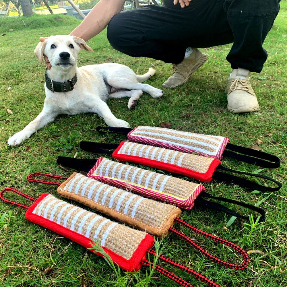 Hund mit Kauspielzeug auf Gras. Robuste Beißkissen für Welpen, ideal für Training und Spiel. Hochwertiges Hundezubehör für aktive Hunde.