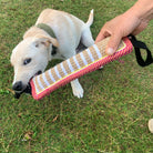 Hund spielt mit Beißkissen auf Rasen. Robustes Hundespielzeug, ideal für Training und Zahnpflege. Perfekt für aktive Welpen und Hunde.