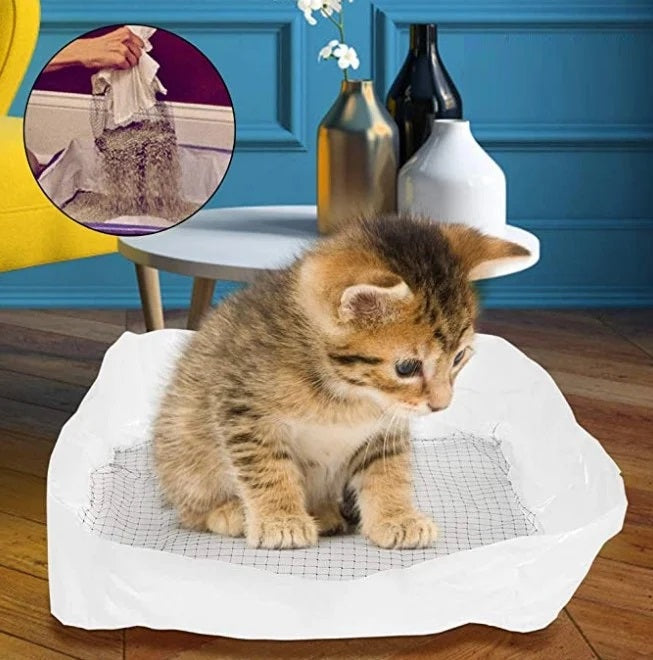 Kätzchen auf Katzentoilette mit Einlage, einfache Reinigung, hygienisch, ideal für Katzenbesitzer, modernes Design, praktische Lösung.
