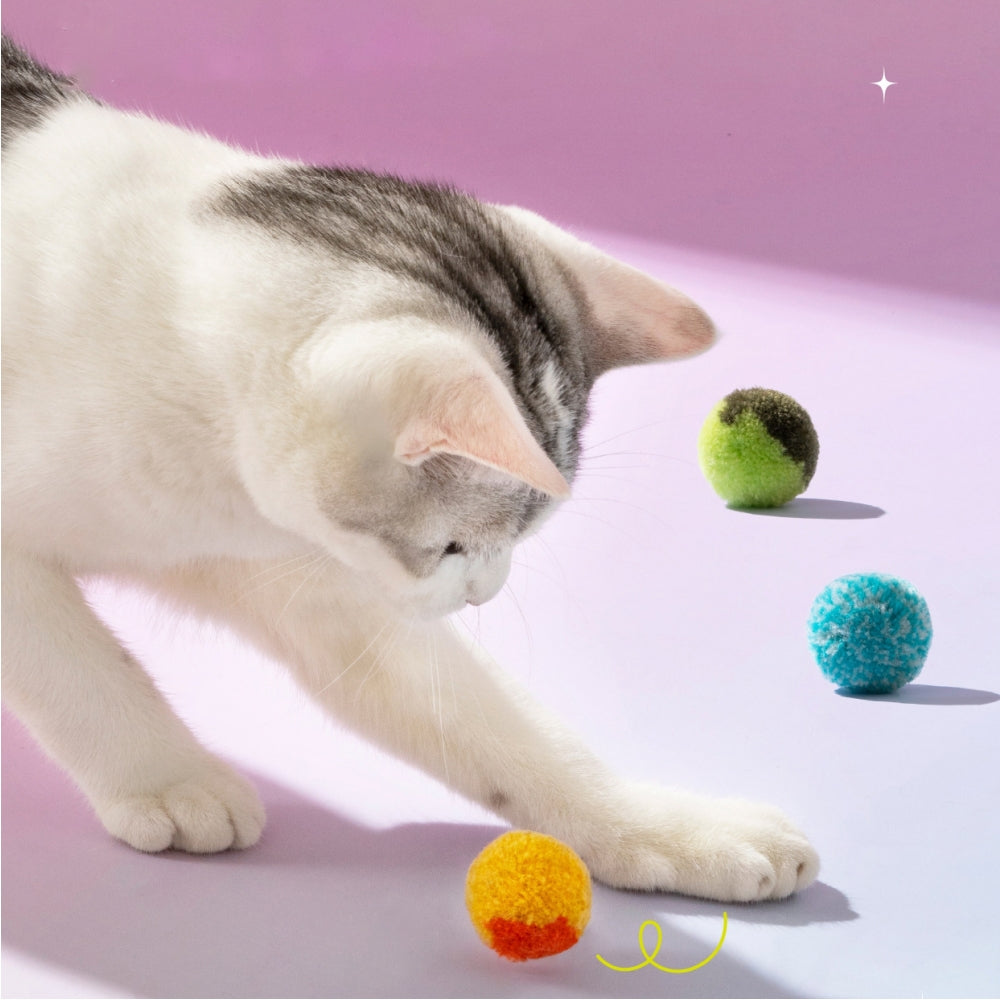 Katze spielt mit bunten Plüschbällen, Katzenspielzeug, lustig, interaktiv, pastellfarbener Hintergrund.