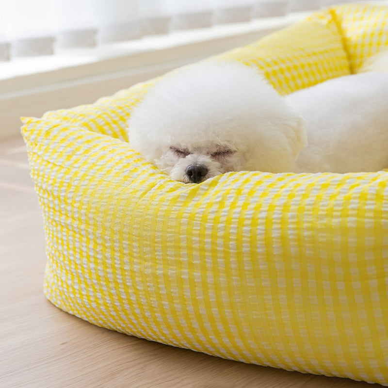 Gelbes, rechteckiges, waschbares Hundebett mit atmungsaktivem Stoff und schlafendem Hund.