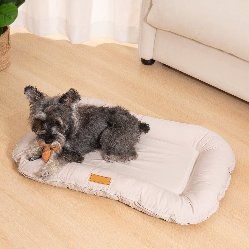 Hund auf wasserdichtem orthopädischem Hundebett aus Memory-Schaum, beige, im Wohnzimmer.