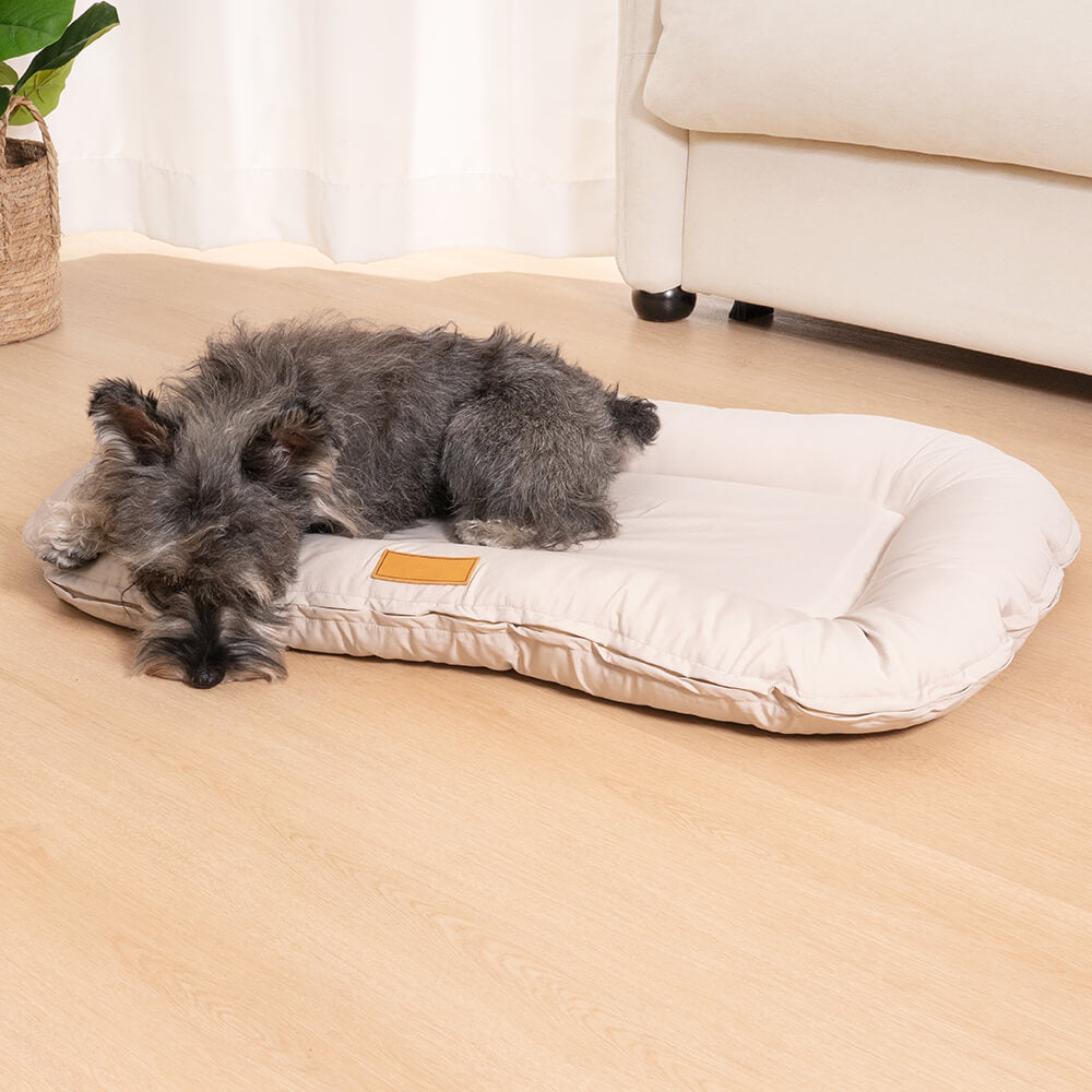 Hund auf wasserdichtem orthopädischem Hundebett aus Memory-Schaum, beige, im Wohnzimmer.