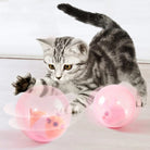 Kätzchen spielt mit interaktivem Katzenspielzeug: rosa Ball mit Maus. Perfekt für Katzenunterhaltung und Bewegung. Ideal für Haustierbedarf.