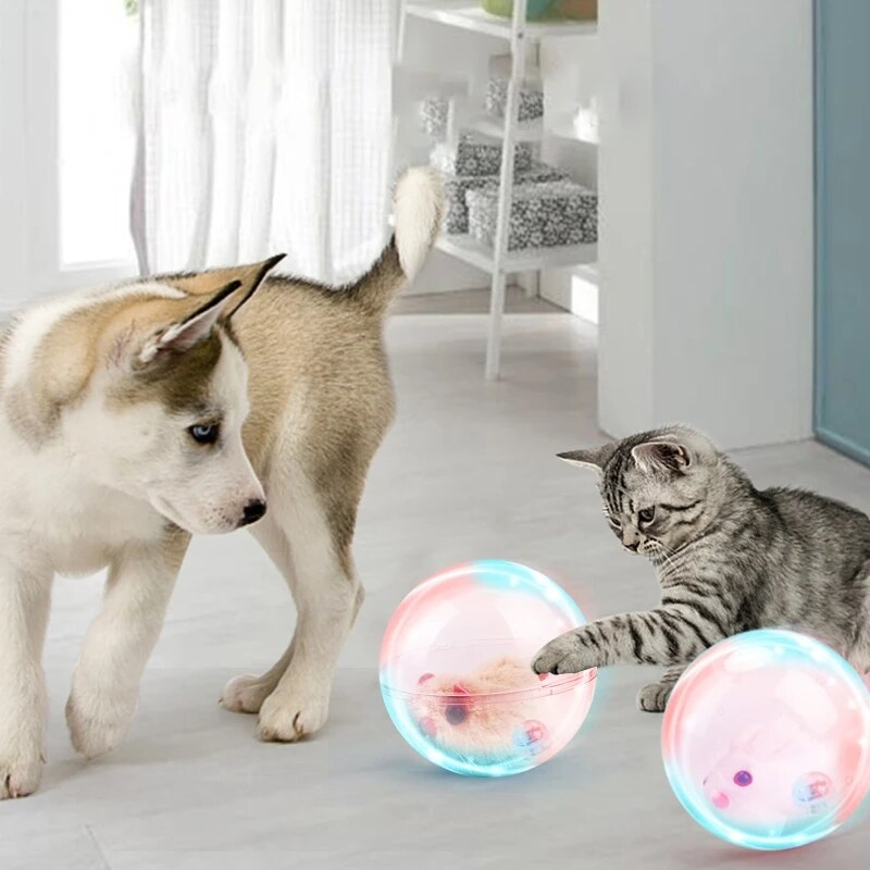 Welpe und Kätzchen spielen mit leuchtenden Bällen im Wohnzimmer. Haustier-Spielzeug, interaktive Unterhaltung, Hund und Katze, Innenraum.