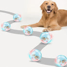 Hund spielt mit interaktivem LED-Ball. Perfektes Hundespielzeug für Bewegung und Spaß. Ideal für aktive Hunde, die Unterhaltung lieben.