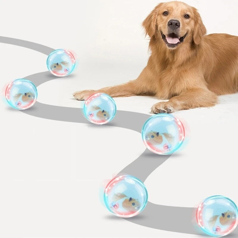 Hund spielt mit interaktivem LED-Ball. Perfektes Hundespielzeug für Bewegung und Spaß. Ideal für aktive Hunde, die Unterhaltung lieben.