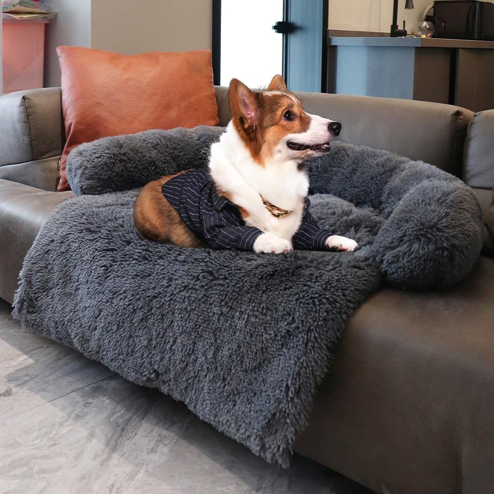 Hundebett anthrazit, flauschig, neue Kollektion, Corgi, Sofa, modernes Design, Haustierbett.