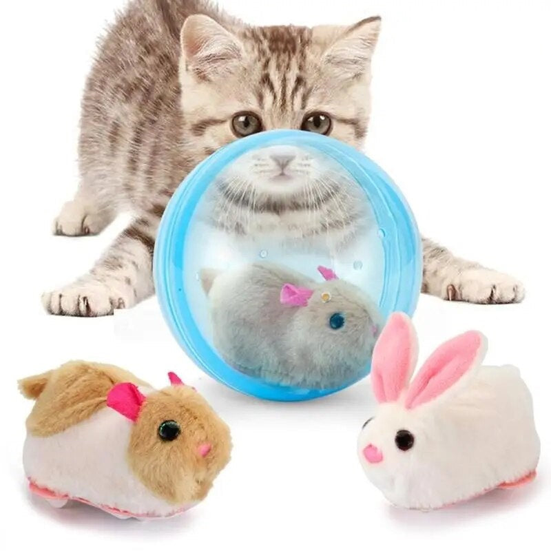 Kätzchen spielt mit interaktivem Spielzeug: Plüschhamster in Ball und Plüschhase. Perfektes Katzenspielzeug für Unterhaltung und Bewegung.