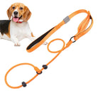 Orange Hundeleine mit verstellbarem Halsband, ideal für Beagle. Robustes Material, komfortabler Griff, perfekt für Spaziergänge und Training.