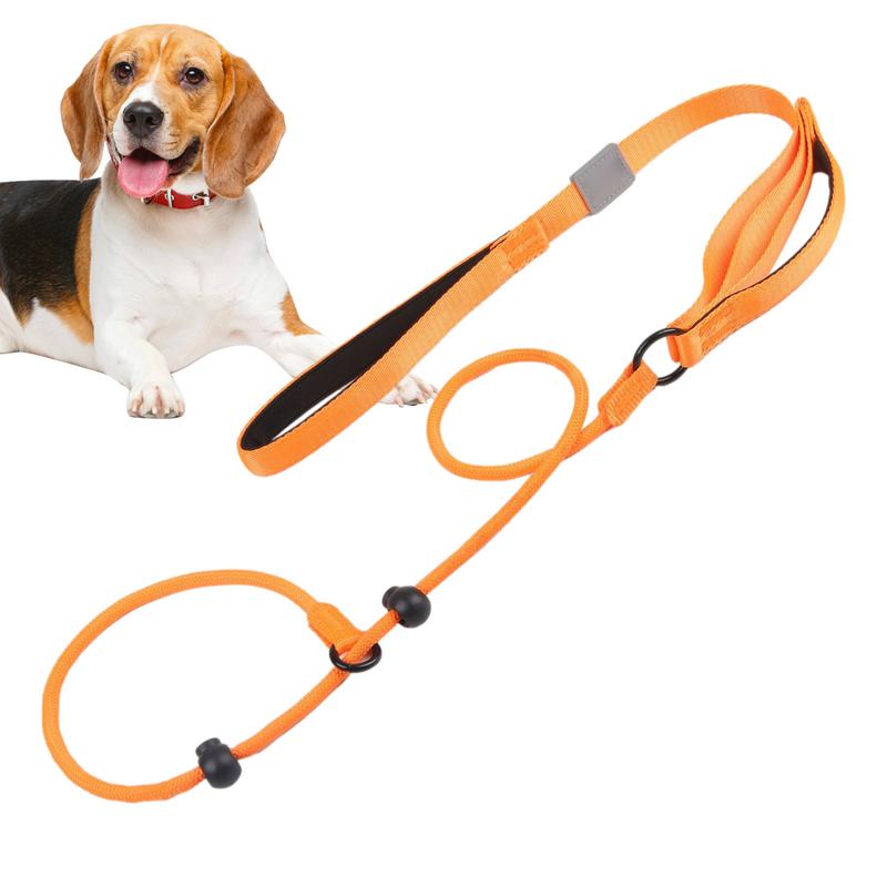 Orange Hundeleine mit verstellbarem Halsband, ideal für Beagle. Robustes Material, komfortabler Griff, perfekt für Spaziergänge und Training.