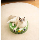 Plüschige Katze auf grünem Frosch-Katzenbett, gemütlich und stilvoll. Perfektes Haustierzubehör für Katzenliebhaber. Ideal für Katzenkomfort.