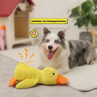 Hund spielt mit gelbem Plüsch-Entenspielzeug, das Entengeräusche imitiert. Perfektes interaktives Hundespielzeug für stundenlangen Spaß.