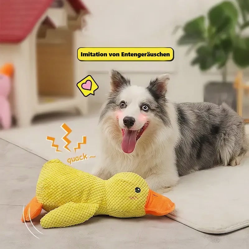 Hund spielt mit gelbem Plüsch-Entenspielzeug, das Entengeräusche imitiert. Perfektes interaktives Hundespielzeug für stundenlangen Spaß.