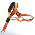 Hochwertiges, orangefarbenes Hundegeschirr mit reflektierenden Streifen, verstellbar und robust, ideal für Sicherheit und Komfort beim Gassigehen.