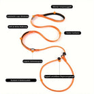 Hochwertige orange Hundeleine mit weichem Schaumstoffgriff, starker Gurtband, gummierter Logo-Verzierung, doppelt verstellbare Begrenzungskugel.