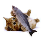 Rote Katze spielt mit großem Plüschfisch, Spielzeug für Haustiere, lustiges Katzenzubehör.