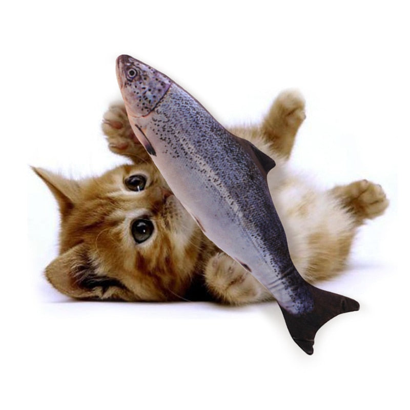 Rote Katze spielt mit großem Plüschfisch, Spielzeug für Haustiere, lustiges Katzenzubehör.
