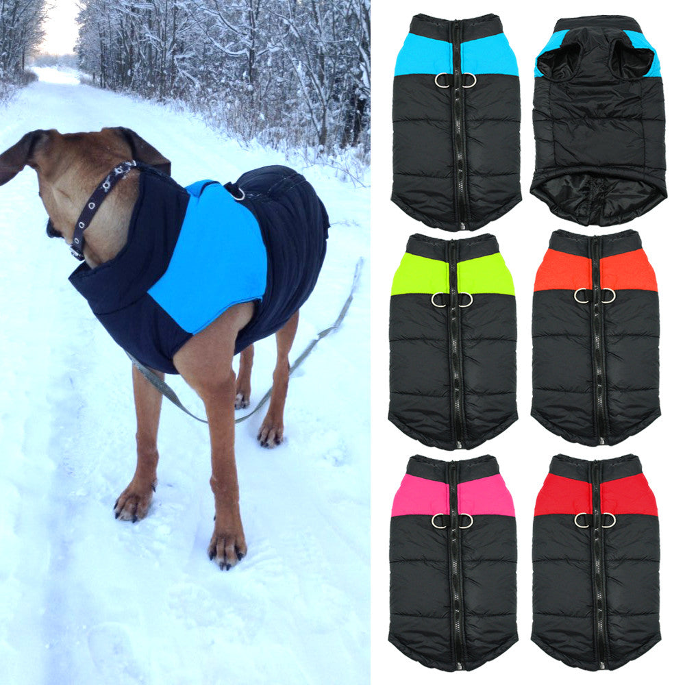 Hundemantel Winterjacke, wasserdicht, warm, in verschiedenen Farben. Ideal für kaltes Wetter, schützt vor Schnee und Wind. Perfekt für Spaziergänge.