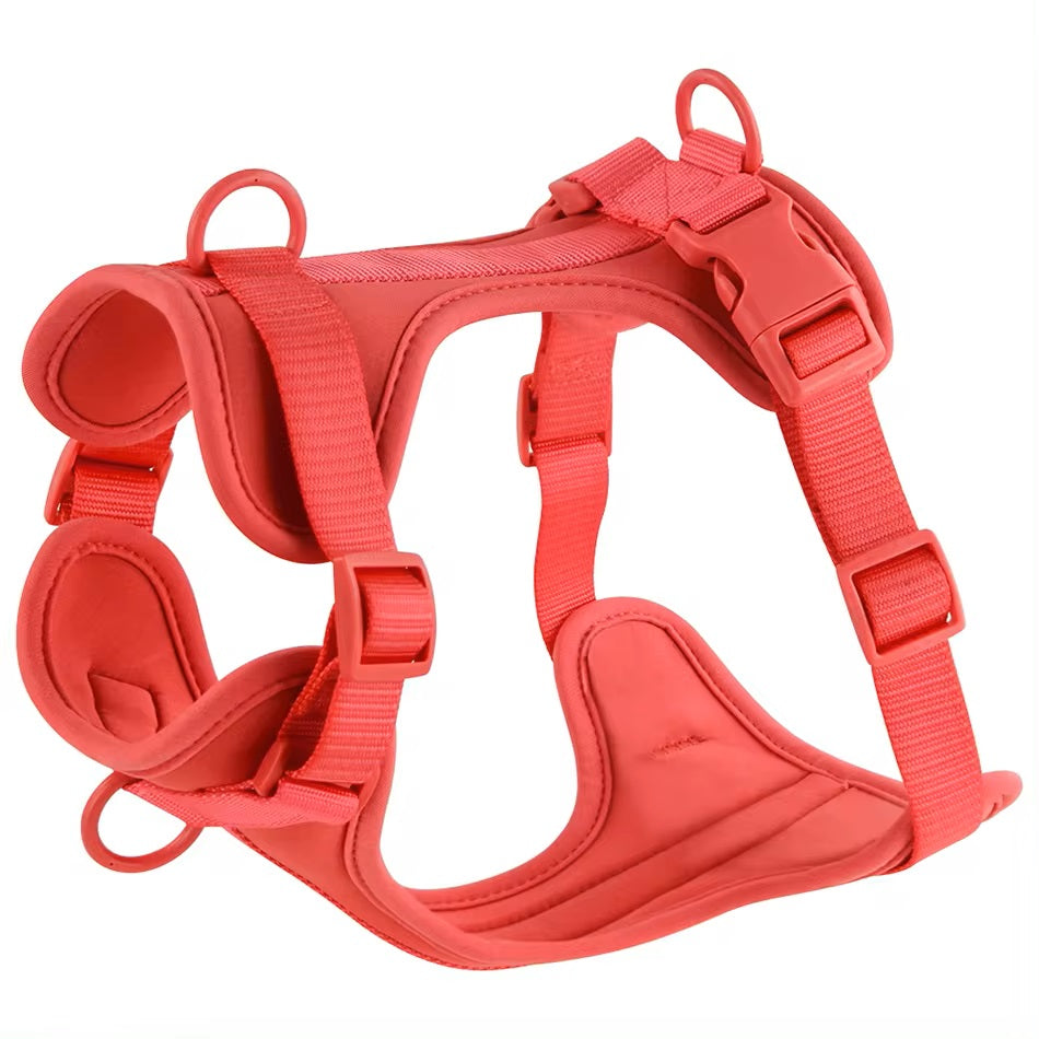 Rotes Hundegeschirr, verstellbar und gepolstert, ideal für Komfort und Sicherheit beim Gassigehen. Perfekt für kleine bis große Hunde.