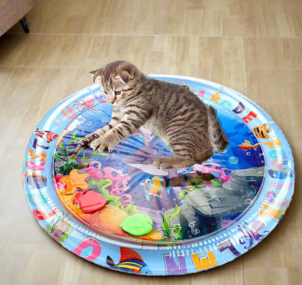 Kätzchen spielt auf buntem Wasserspielmatte mit Meeresmotiven. Interaktives Katzenspielzeug, ideal für Unterhaltung und Bewegung.