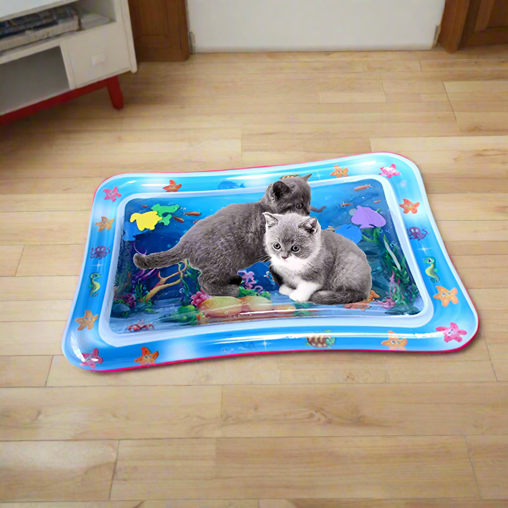 Graue Kätzchen spielen auf einer bunten Wassermatte im Wohnzimmer. Perfektes interaktives Katzenspielzeug, fördert Aktivität und Spaß.