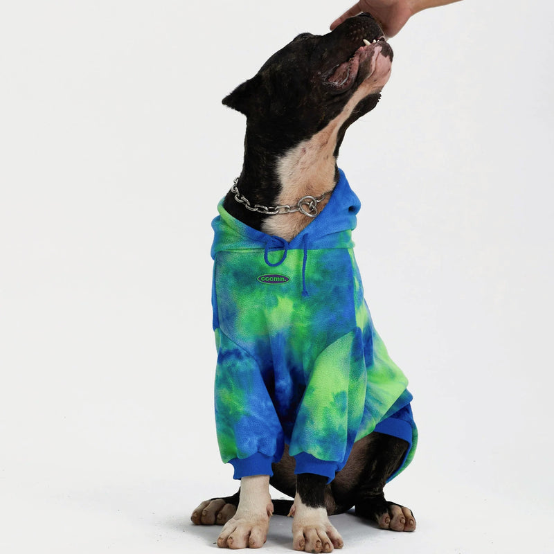 Hund in blau-grünem Batik-Hoodie, sitzt und schaut nach oben. Modischer Hundepullover, bequem und stilvoll. Perfekt für trendbewusste Haustiere.