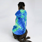 Hund in blau-grünem Batik-Hoodie, modisches Haustier-Outfit, bequem und stilvoll, ideal für kühle Tage, trendige Hundebekleidung.