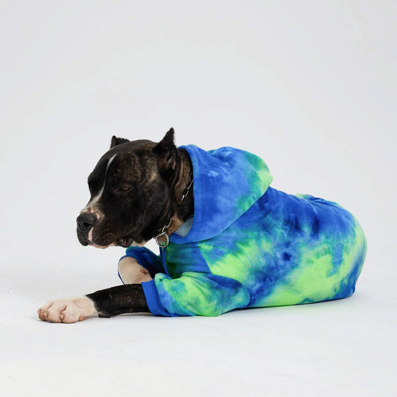 Hund in blau-grünem Batik-Hoodie, entspannt liegend. Modischer Hundepullover, bequem und stilvoll. Perfekt für Haustiermode und Hundebekleidung.