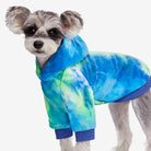Hund in blau-grünem Hoodie, modisches Haustier-Outfit, weiches Material, trendige Hundebekleidung, ideal für kühle Tage, stilvoll und bequem.