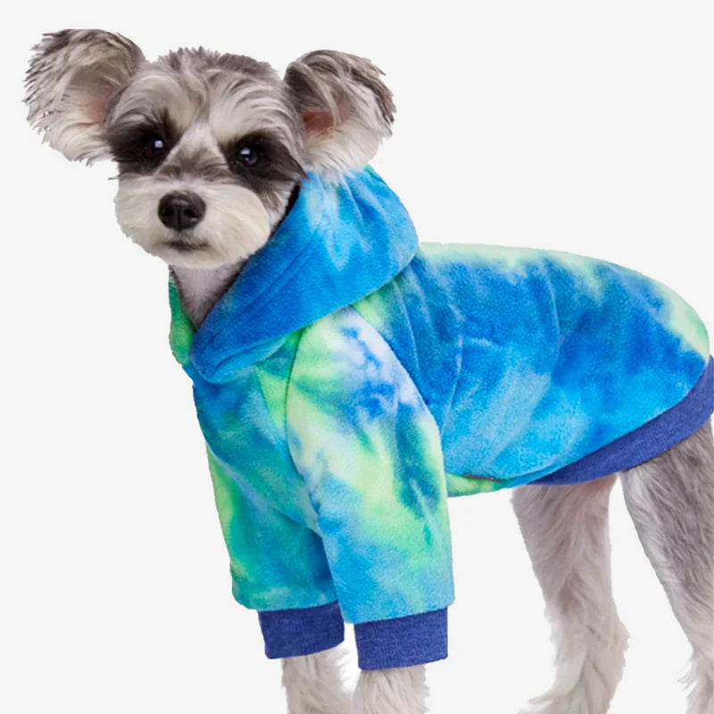 Hund in blau-grünem Hoodie, modisches Haustier-Outfit, weiches Material, trendige Hundebekleidung, ideal für kühle Tage, stilvoll und bequem.