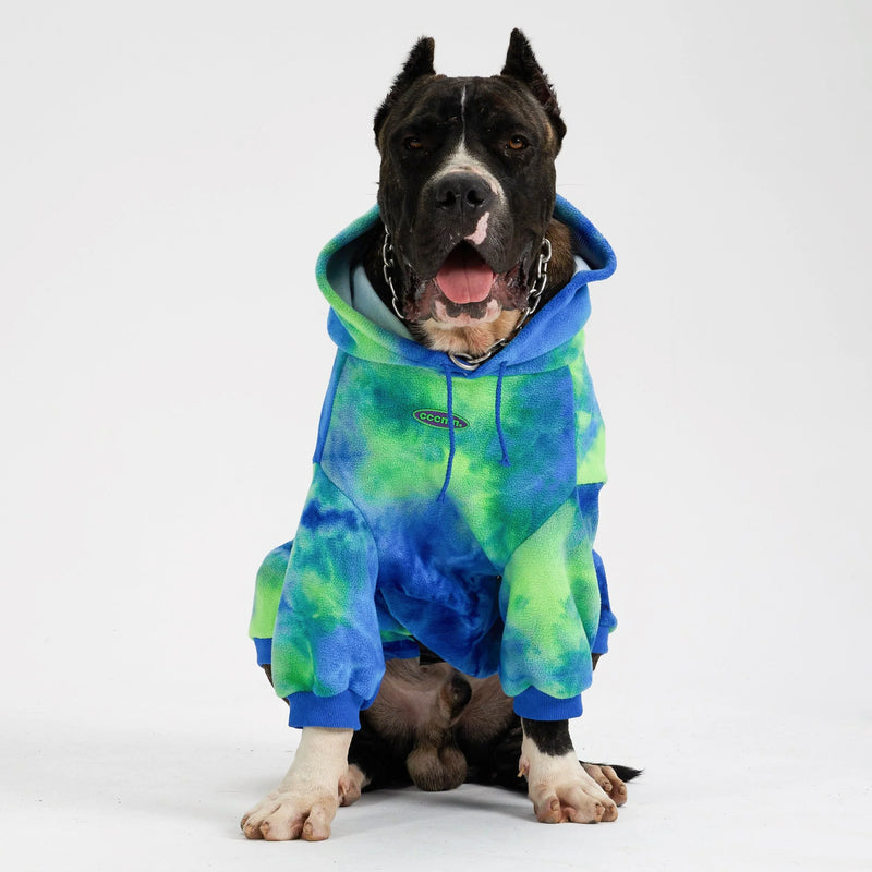Großer Hund in blau-grünem Hoodie, sitzt vor weißem Hintergrund. Modischer Hunde-Pullover, bequem und stilvoll. Perfekt für Haustiermode.