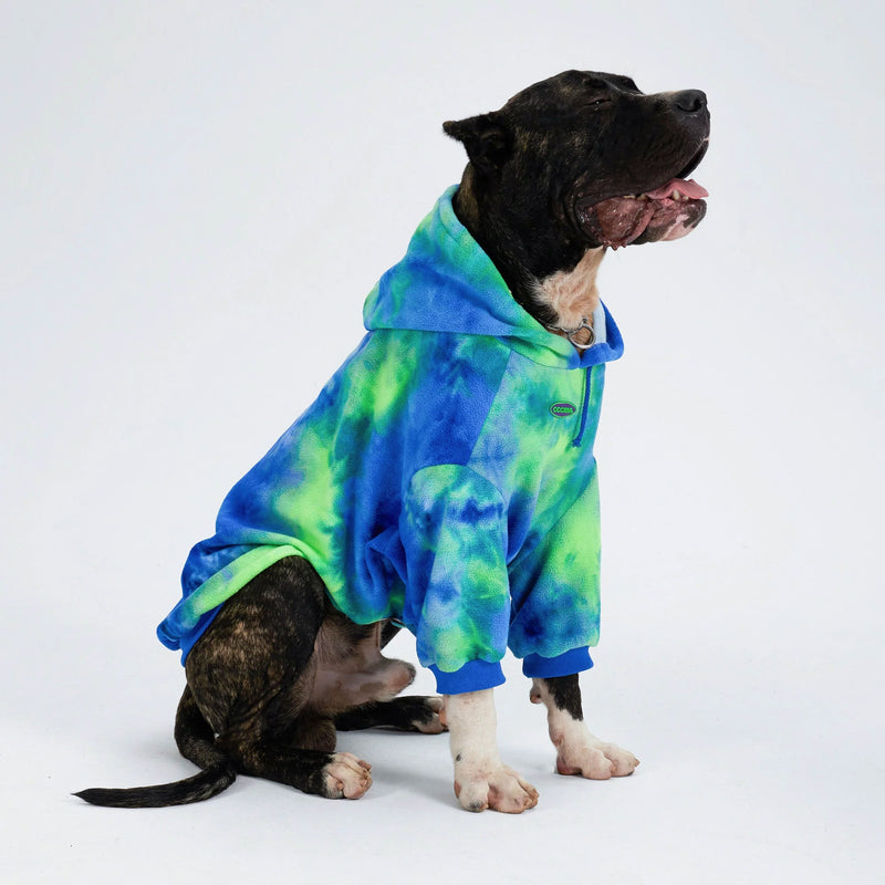 Hund in blau-grünem Batik-Hoodie, sitzt auf weißem Hintergrund. Modischer Hundepullover, bequem und stilvoll. Haustierbekleidung, trendige Hundemode.