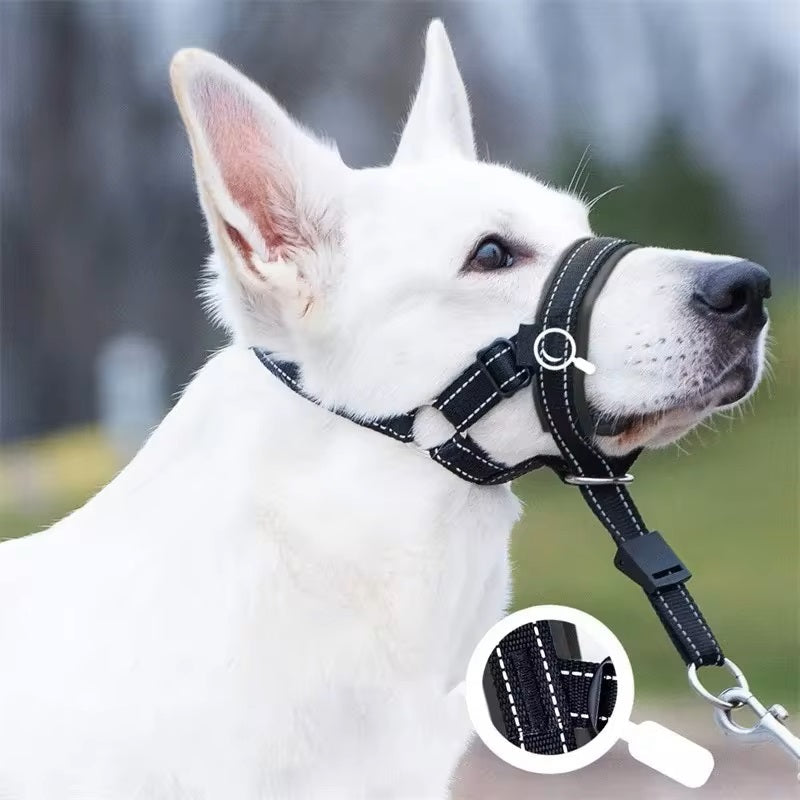 Weißer Hund mit schwarzem Maulkorb und Leine. Hochwertiges Hundezubehör, robust und sicher. Ideal für große Hunderassen.